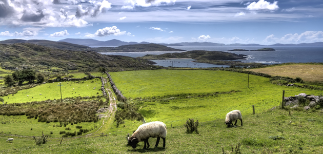 The Beast of Paradise