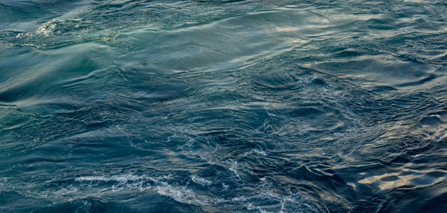 Family, empire, migrant, refugee.