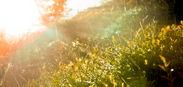 If you sit very still…