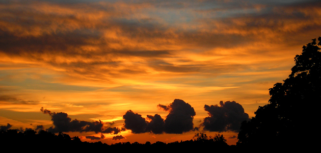 A spirit of openness