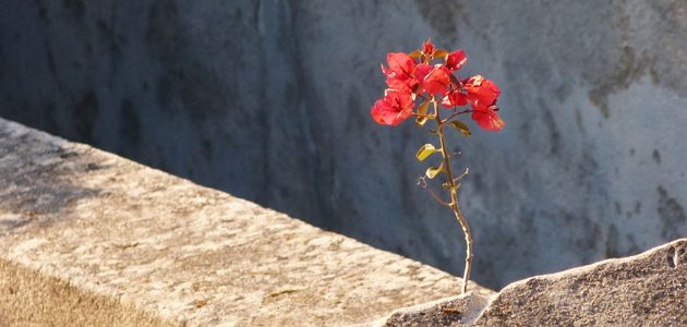 Poetry saves my soul