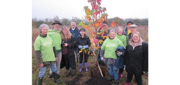 Oxford Friends plant trees