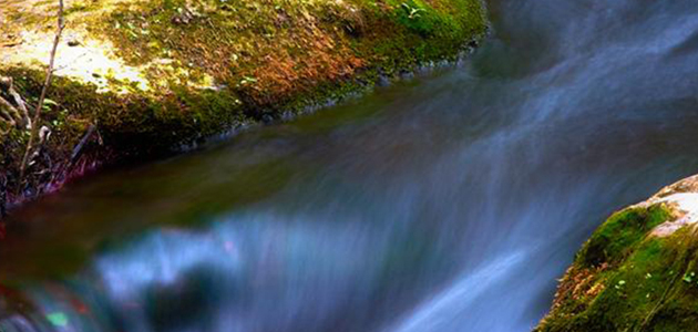 Singing streams and star stuff