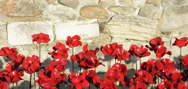 Eye - 21 November 2014