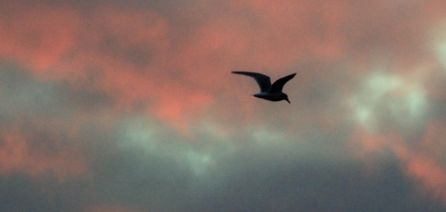 A sympathetic hearing