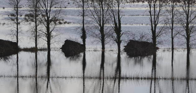 Sustainability - Low carbon? Let’s be realistic!