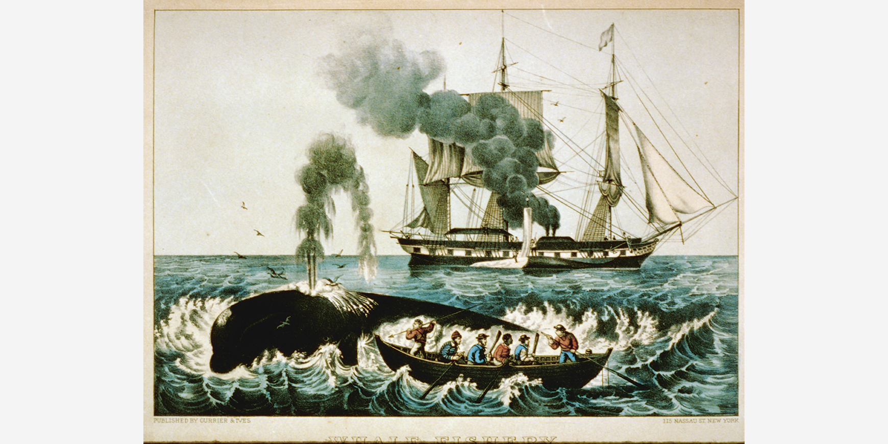 A real whale of a time: Paul Hodgkin on an uncomfortable moment in Quaker history