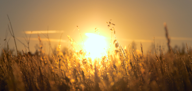 Wholeness and oneness