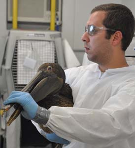 Values for money: divesting from BP