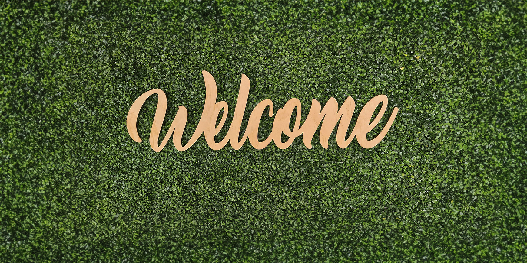 Welcome to the Friend’s new website!