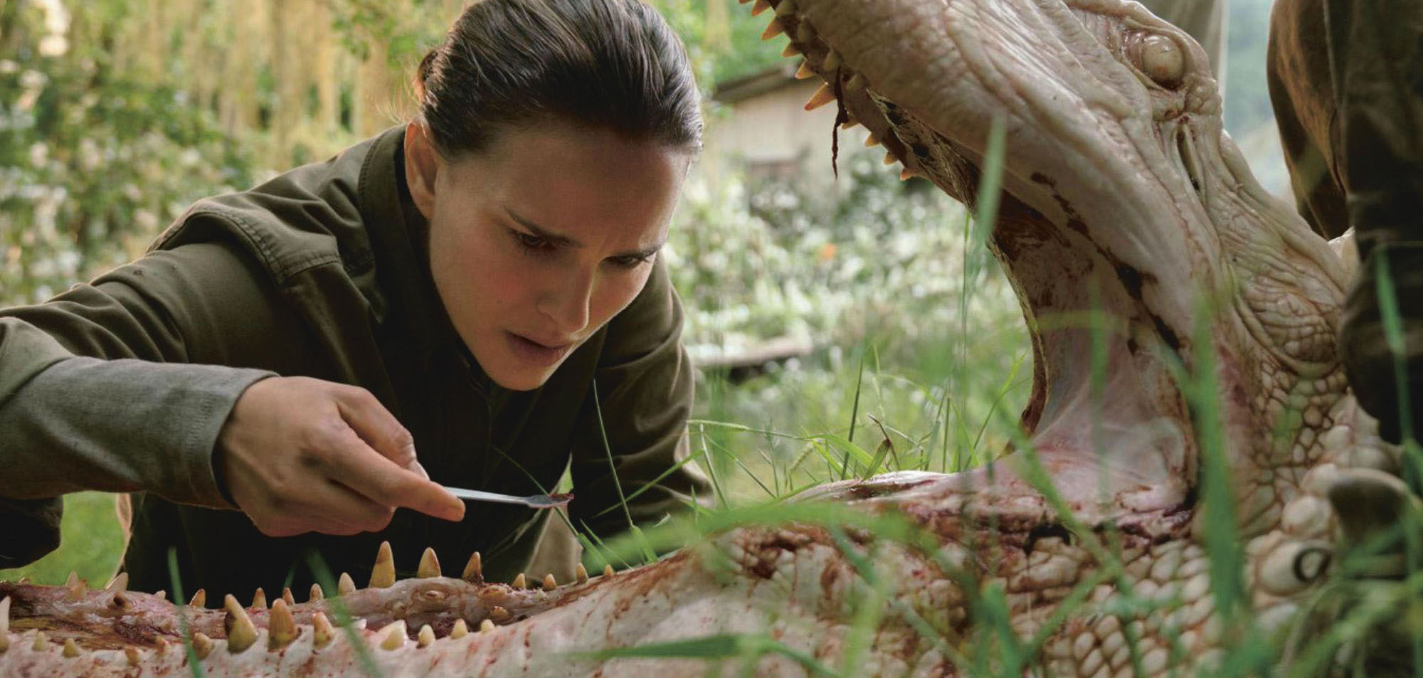 ‘Annihilation’ directed by Alex Garland