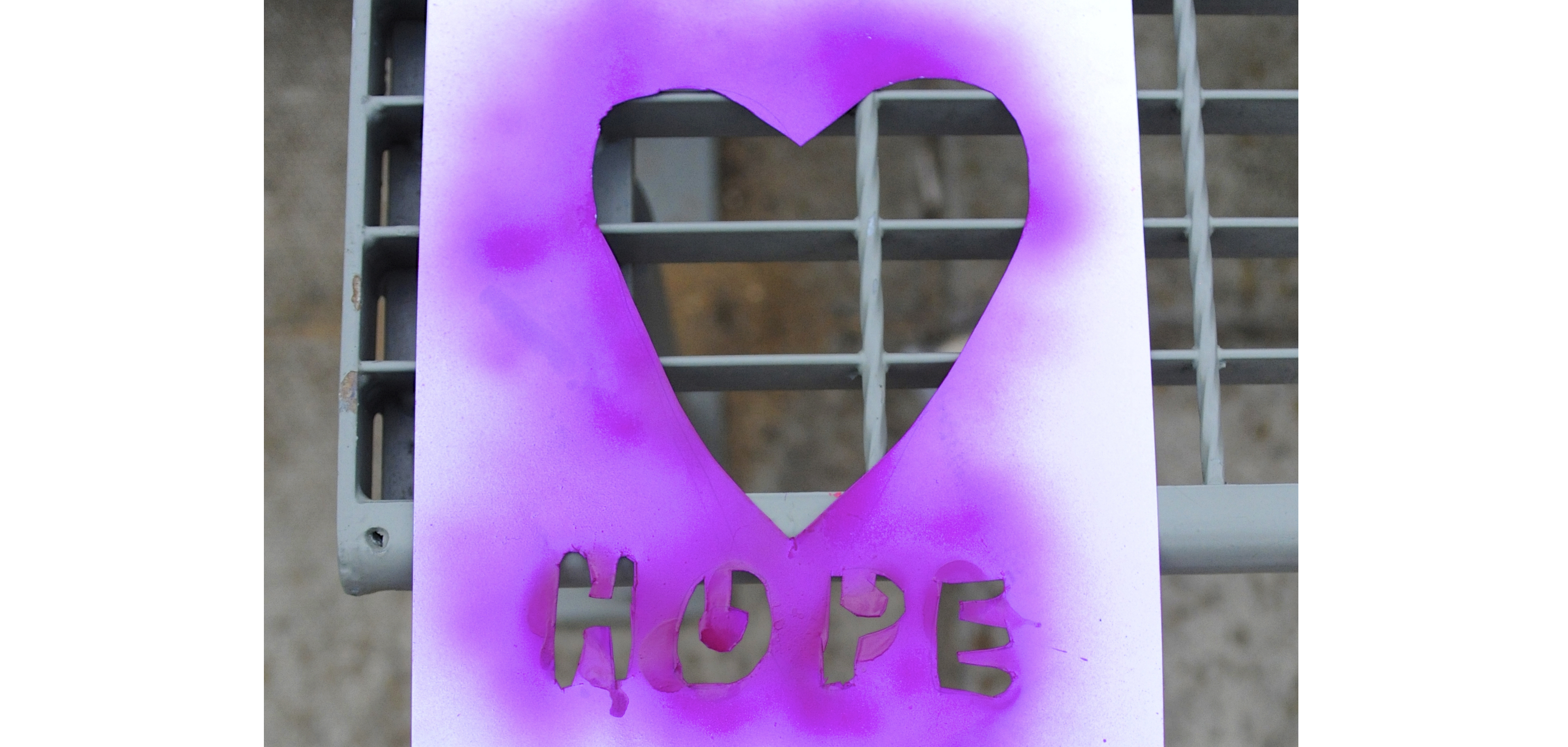 BYM launches Israel/Palestine education pack