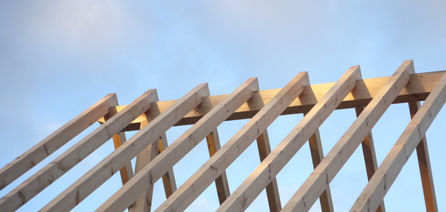 Vision for our future