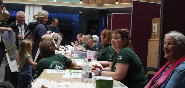 Yearly Meeting Gathering 2017: Montage