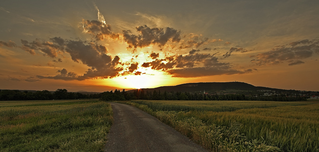 Leadings and seekings