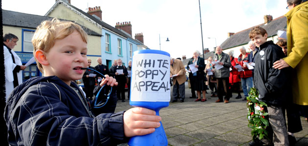 Pembrokeshire’s poppies