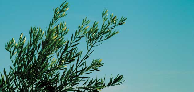 Building partnership  and trust