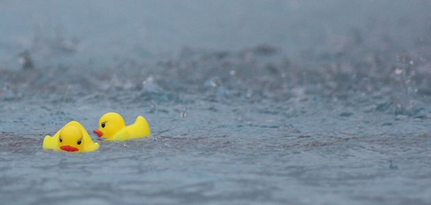 Of bath water and plastic ducks