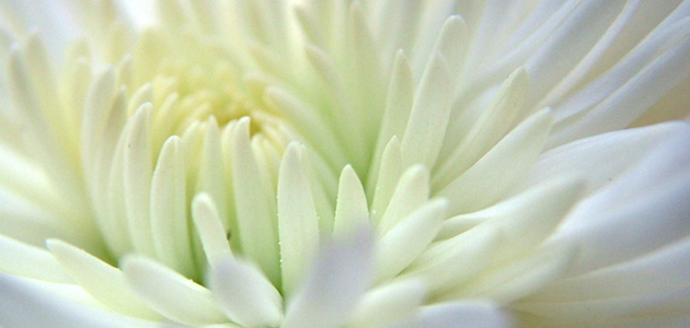 At the Quaker Meeting