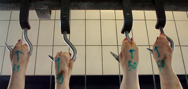 Wear it as long as thou canst