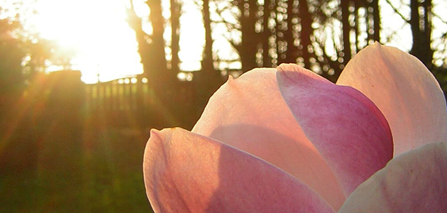 Eye - 30 October 2015