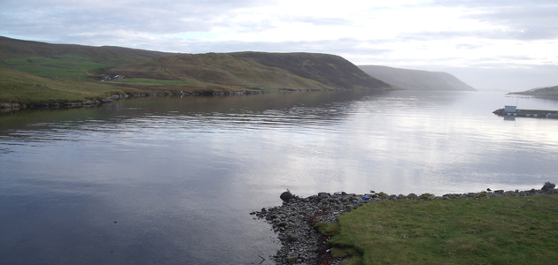 Sounding trumpets for Charlotte