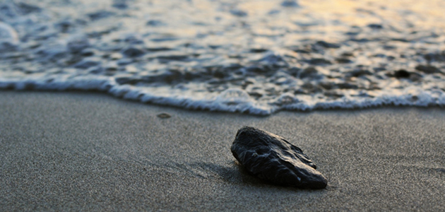 Together in the open room