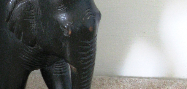 An elephant made of fudge