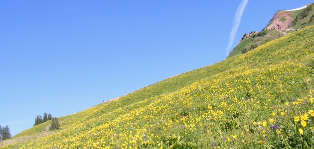 Eye - 16 August 2013