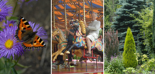 Eye - 15 September 2017