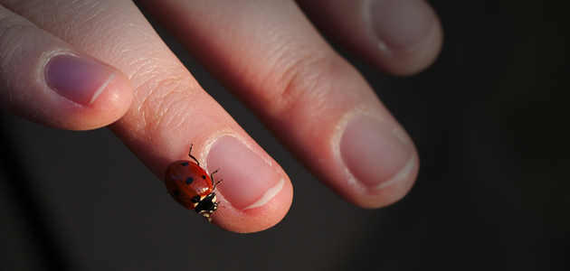 The universal Spirit