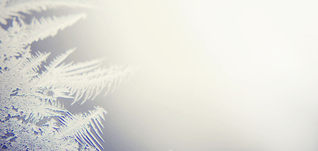 Woodbrooke in winter