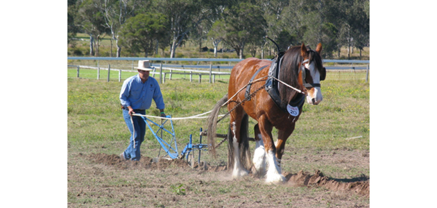 Ploughing