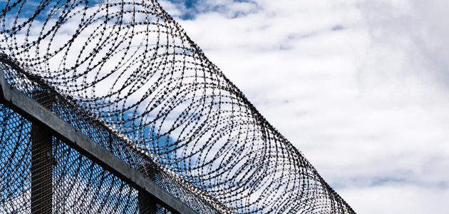 Thought for the Week: Our common humanity