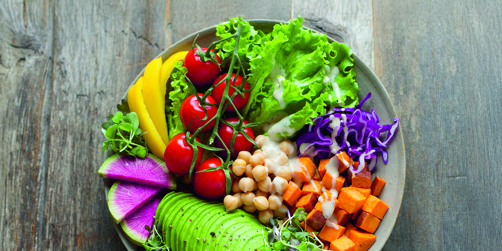 More food for thought: Ruth Jones continues the quest for sustainable food production