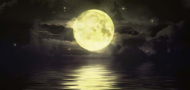 Forgiveness and sustainability