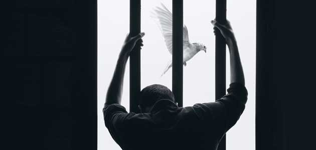 Assuring witness: Melanie Jameson on criminal justice work