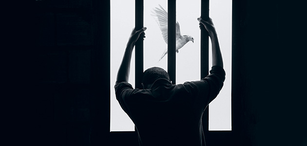 Prison break: Mike Nellis on Friends and criminal justice