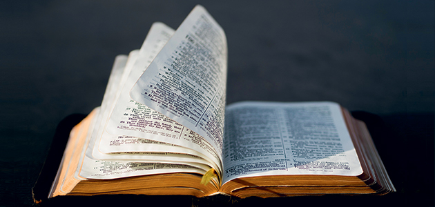 Lost in translation? James Gordon digs deep into Matthew’s Gospel