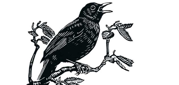 Changes and chances / this fleeting world