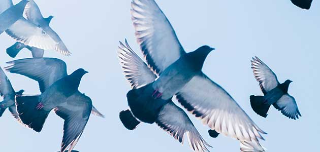 Darling, save the last dance for me