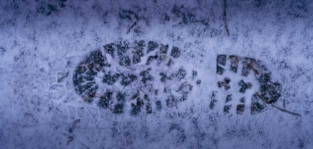 Letter  from Leningrad