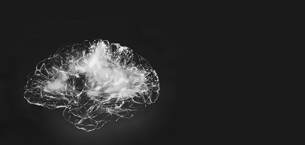 ‘The left hemisphere of the brain, without sufficient input from the right, is overconfident.’