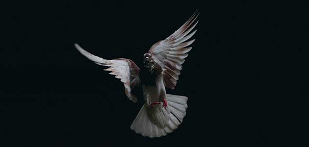 Straight, not narrow: John Lampen addresses some misconceptions over the  Peace Testimony