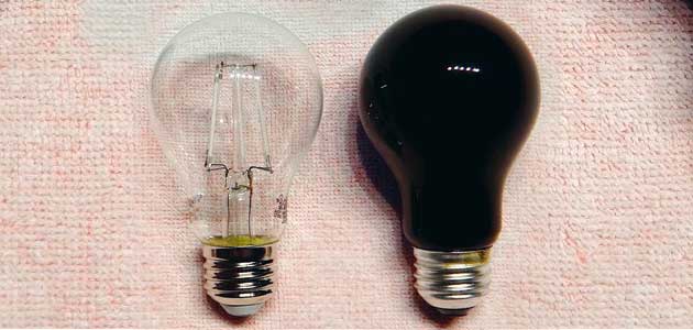 Evil’s advocate: Clive Gordon reads from Isaiah