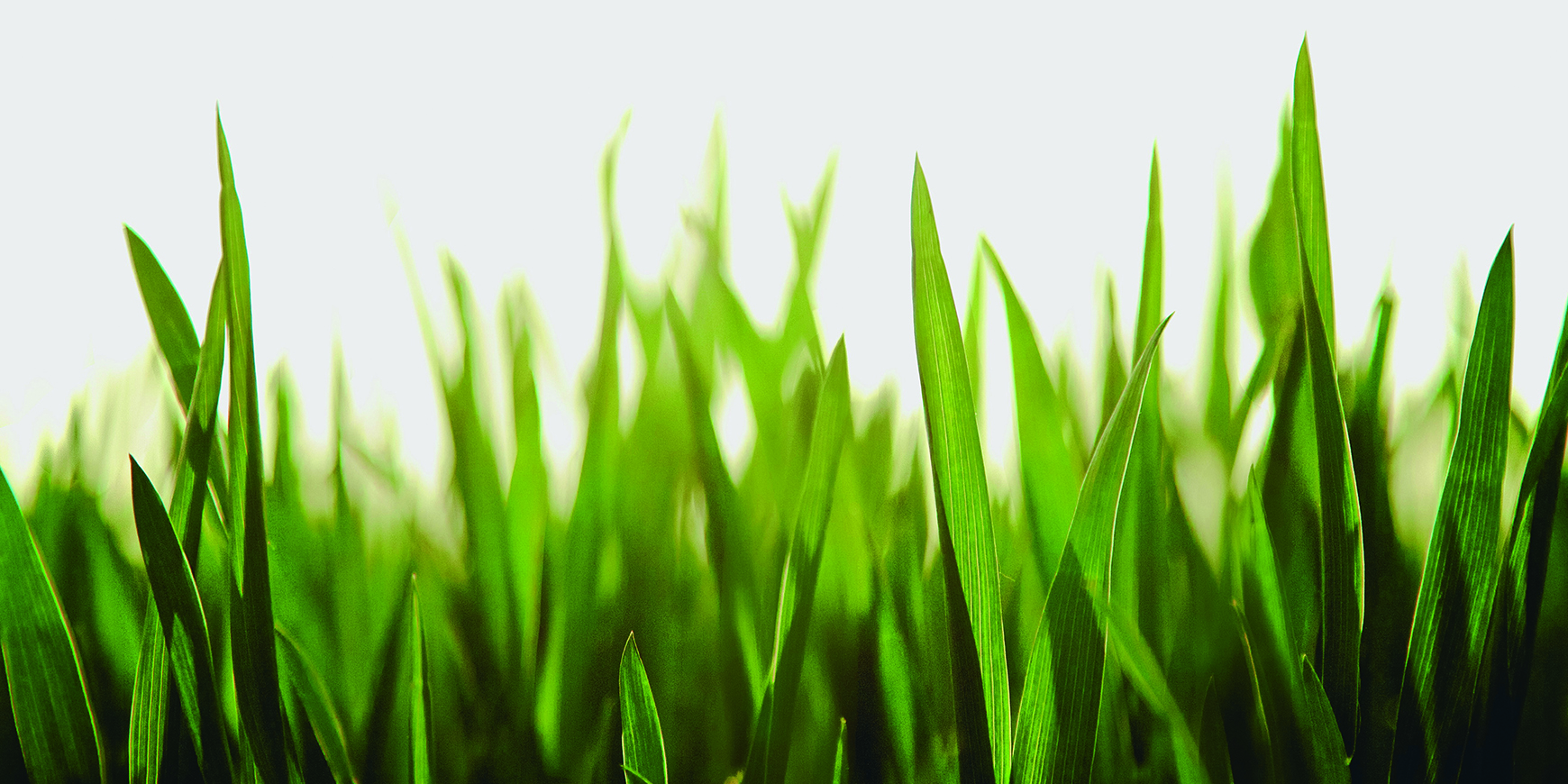 Yearly Meeting 2024: Preparation - part nine