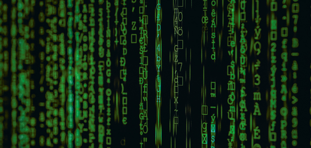 Inside information technology: Lee Coppack on the digital divide