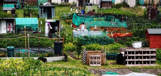 Spirituality  and the everyday