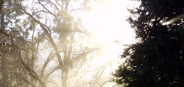 Experiment with Light: Waiting in the Light