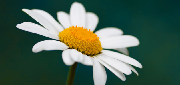 ‘I learned: Trespass’